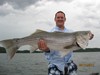 (06/17/2017) - Nice Striped Bass